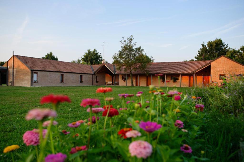 Villa Relais Agrituristico Ormesani San Liberale Exterior foto